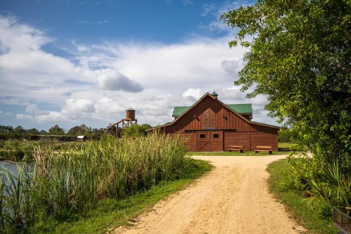 romelia farms